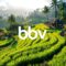 Rice Field View Villas: The Most Sought-After Properties in Ubud